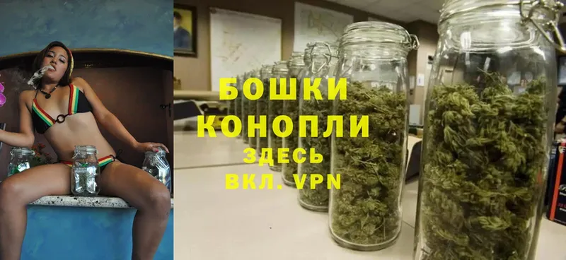 Шишки марихуана White Widow  Кедровый 